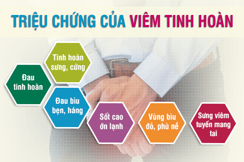 triệu chứng viêm tinh hoàn